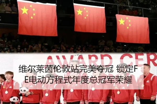 维尔莱茵伦敦站完美夺冠 锁定FE电动方程式年度总冠军荣耀