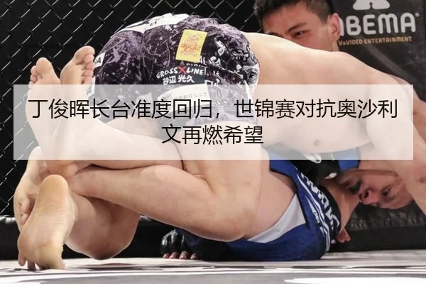 ding-jun-hui-zhang-tai-zhun-du-hui-gui-shi-jin-sai-dui-kang-ao-sha-li-wen-zai-ran-xi-wang-2-811.jpg